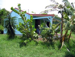 bungalow allamanda