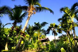 Hotel Grande Anse