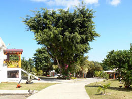 Residence del sole