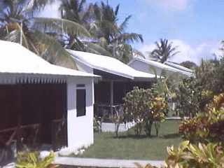 Residence Eucalypto