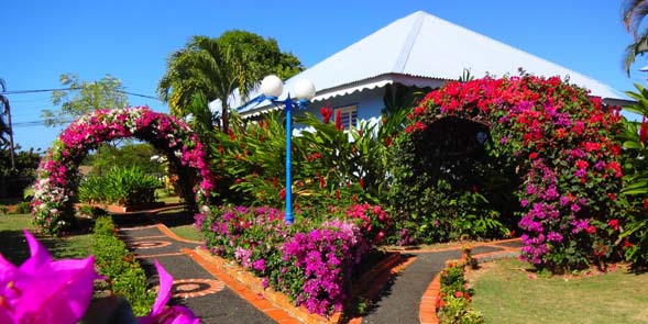 RESIDENCE BUGANVILLE