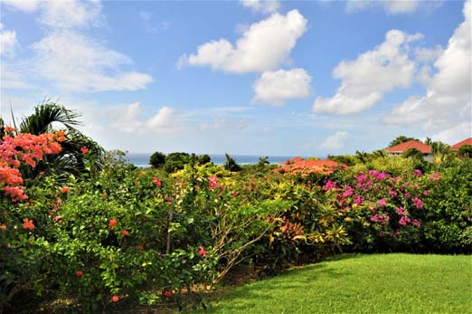 Villa Aurora