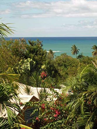 VILLA_TIARE